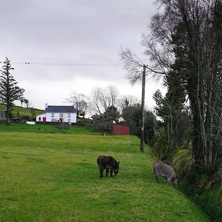 Meenadreen Cottage Donegal Town Exterior foto