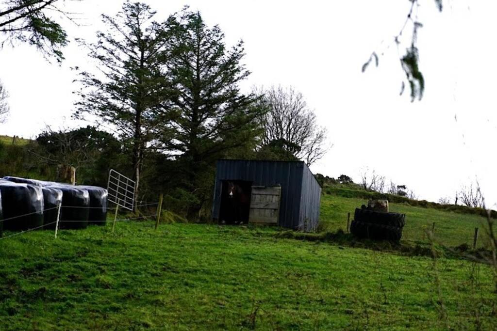 Meenadreen Cottage Donegal Town Exterior foto