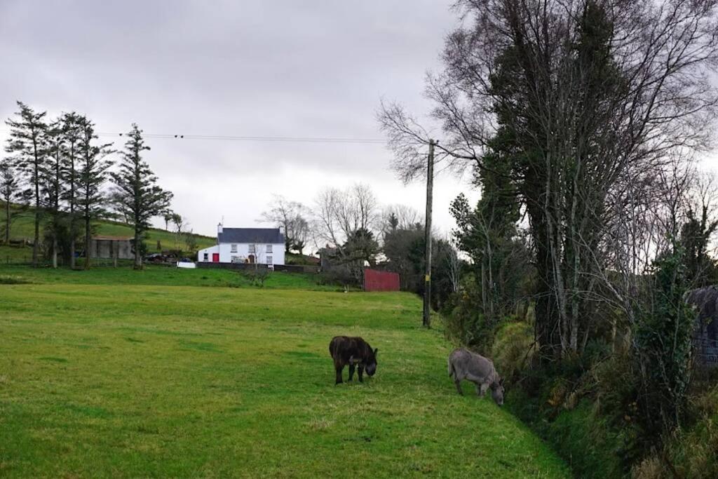 Meenadreen Cottage Donegal Town Exterior foto